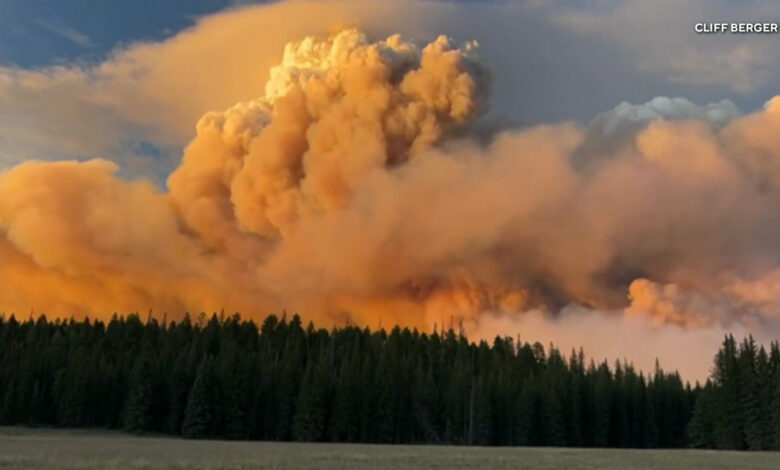 8/3: CBS Weekend News