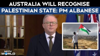 Australia To Recognise Palestinian State By September In UN: Australian PM  Anthony Albanese