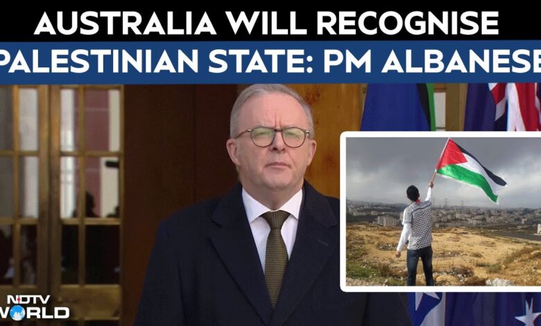 Australia To Recognise Palestinian State By September In UN: Australian PM  Anthony Albanese