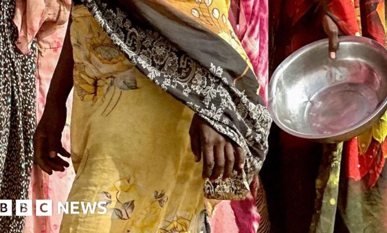 Sudan civil war: Besieged el-Fasher city residents face starvation ...