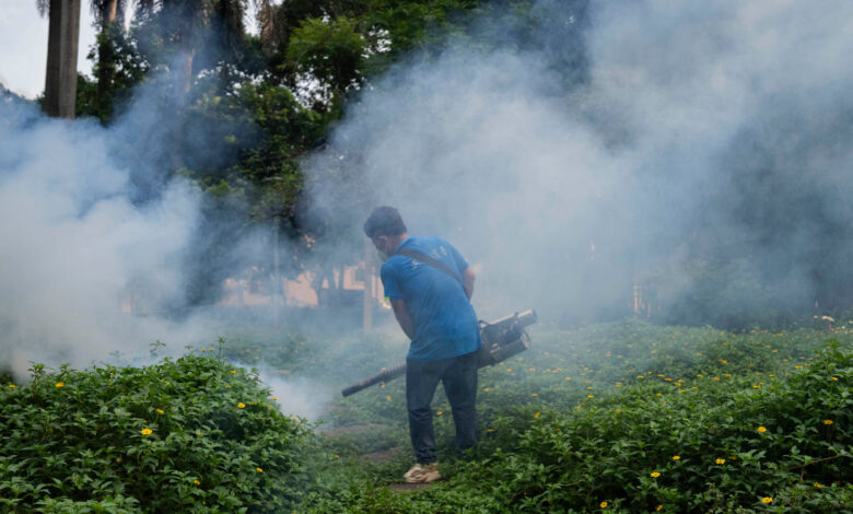China Wages War on Chikungunya Virus With Drones and 'Elephant ...