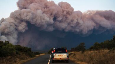 Deadly 'unprecedented' wildfire rages in southwestern France – DW ...