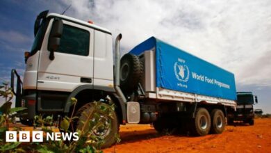 Sudan conflict: Army denies bombing WFP convoy in Darfur