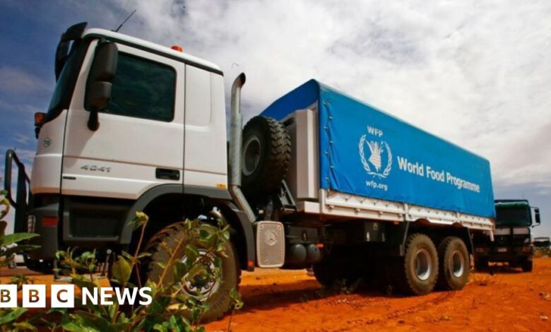 Sudan conflict: Army denies bombing WFP convoy in Darfur