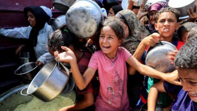 Famine determined in parts of Gaza, 500,000 experiencing ...