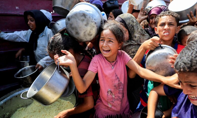 Famine determined in parts of Gaza, 500,000 experiencing ...