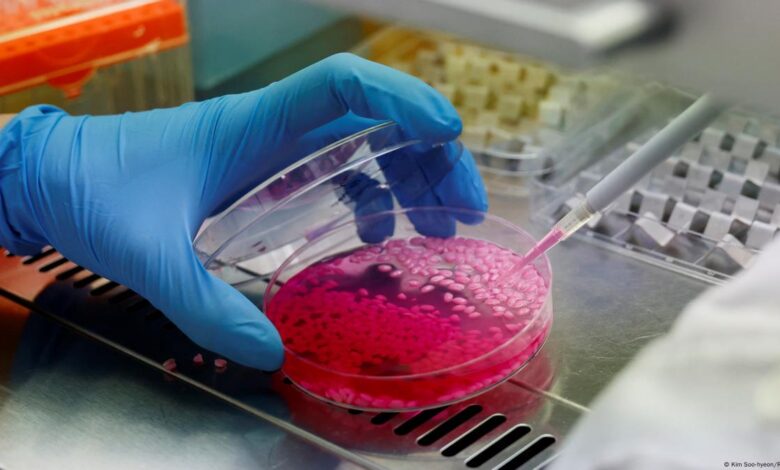 Fraudulent research is 'destroying trust in science' – DW – 08/10/2025