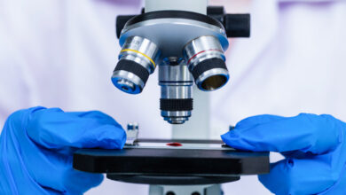 Fraudulent Scientific Papers Are Rapidly Increasing, Study Finds ...