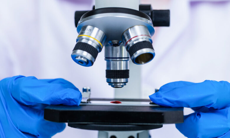 Fraudulent Scientific Papers Are Rapidly Increasing, Study Finds ...