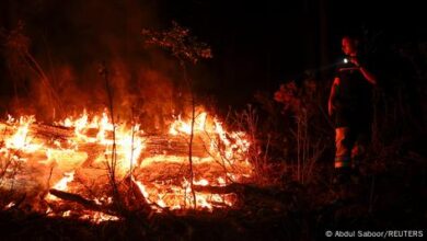 Giant fire in southern France under control – DW – 08/08/2025