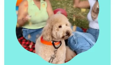 Google Photos to Get 'Create' Tab: Your New Editing Hub