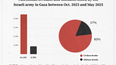IDF database suggests 83% of Gaza dead were civilians