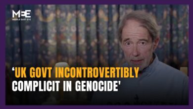 UK government seeking to ‘silence’ Palestine Action, says Sir Jonathon  Porritt