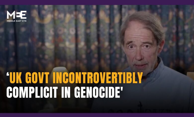 UK government seeking to ‘silence’ Palestine Action, says Sir Jonathon  Porritt