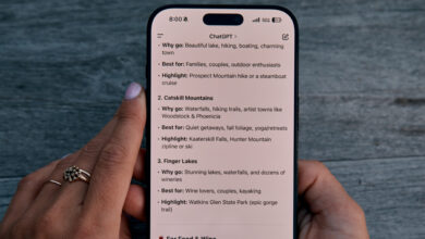 OpenAI to Open-Source Some of the A.I. Systems Behind ChatGPT ...