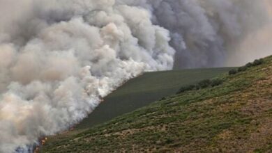 Deadly wildfires rage across Spain as record area of land burnt ...
