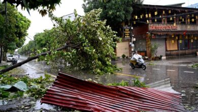 Typhoon death toll rises in Vietnam as downed trees hamper rescuers