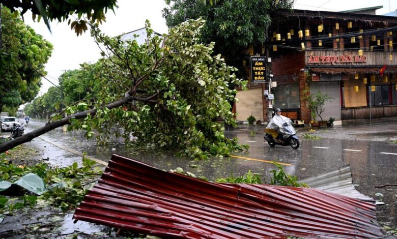 Typhoon death toll rises in Vietnam as downed trees hamper rescuers