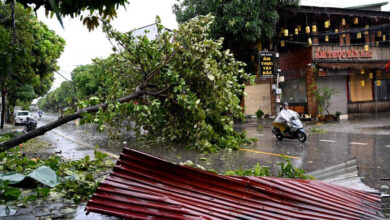 Death toll from Typhoon Kajiki in Vietnam rises to 7