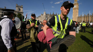 London police arrest hundreds of people as pro-Palestinian ...