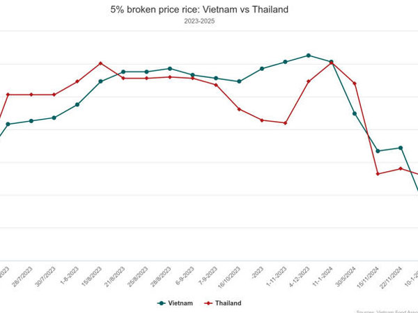 Rice export prices plunge to 9-year low