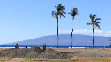 Saving Hawaii's History From the Ashes, One Object at a Time - The ...