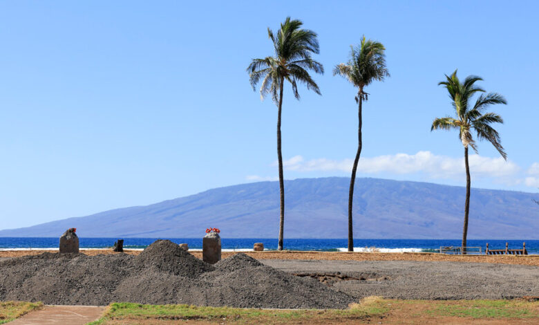 Saving Hawaii's History From the Ashes, One Object at a Time - The ...