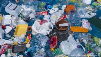 The recycling dilemma: Most plastic still ends up as waste – DW ...