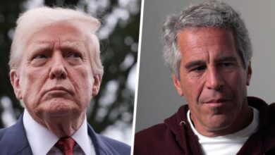 No endgame and no plan': Finance expert slams Trump's tariff policy