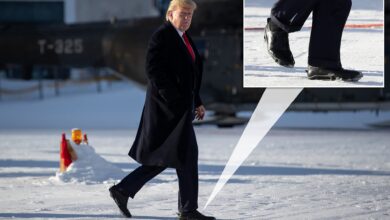 Donald Trump arrives at Davos summit in Swiss Alps wearing SNOW ...