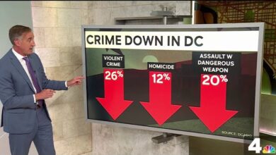 Is DC crime ‘totally out of control,' as Trump said? What the numbers show  | NBC4 Washington