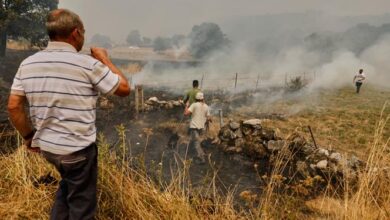 Spain gripped by violent wildfires: Three dead, nearly 60,000 ...