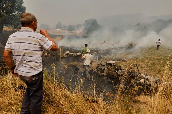 Spain gripped by violent wildfires: Three dead, nearly 60,000 ...