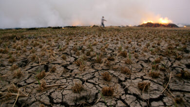 Key environmental challenges facing the Middle East | Middle East ...