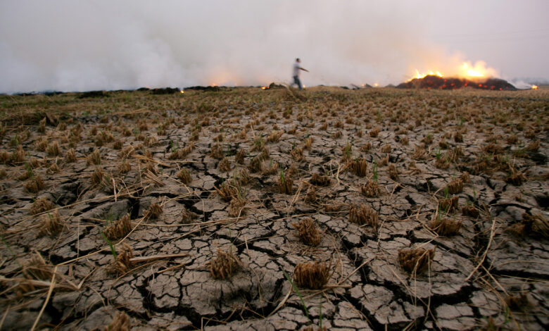 Key environmental challenges facing the Middle East | Middle East ...