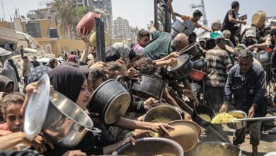 New testimonies provide compelling evidence that Israel's ...