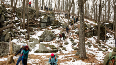 What Teenagers Are Saying About Connecting to Nature - The New ...