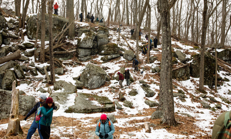What Teenagers Are Saying About Connecting to Nature - The New ...