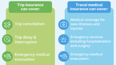 The Difference Between Trip Insurance and Travel Medical Insurance
