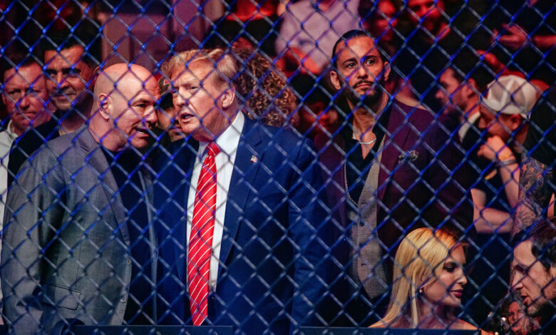 White House Will 'Definitely' Host a U.F.C. Fight on July 4 ...