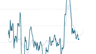 CPI Shows U.S. Inflation Remains Muted as Tariff Impact Is Limited ...