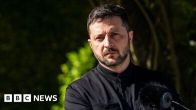 Zelensky thanks Trump for 'productive' talks ahead of ceasefire ...