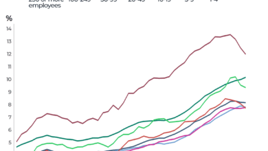 AI investments are pulling the US economy forward. Will it ...