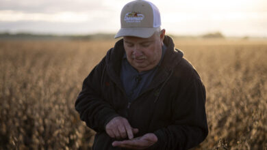 US soybean farmers battered by trade row with China