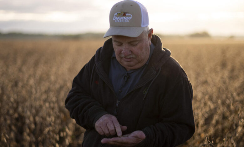 US soybean farmers battered by trade row with China