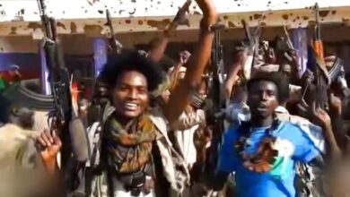 Road out of el-Fasher: Ransom, violence and the price of survival ...