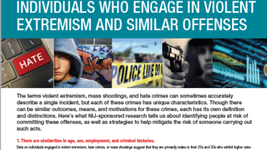 Five Things About Individuals Who Engage in Violent Extremism and ...
