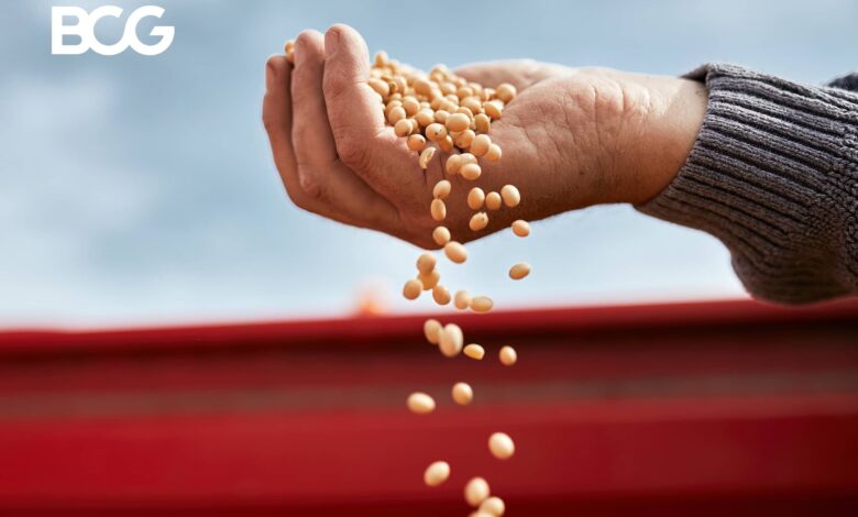 The War in Ukraine and the Rush to Feed the World | BCG