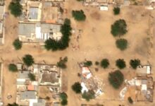 New light shed on el-Fasher horror as survivors arrive in Sudan's ...