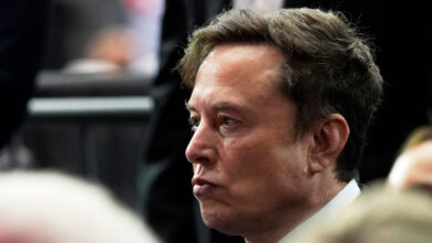 Mother of Elon Musk's child sues his AI company over sexual ...